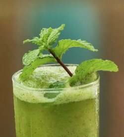 Minty Spinach Green Smoothie