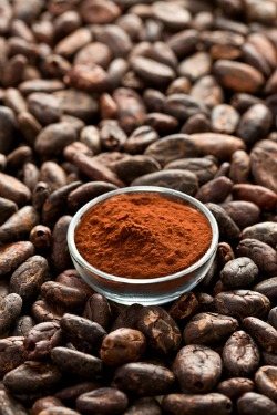 What is Cacao and why is it perfect for Smoothies?