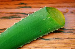 Awesome Aloe Vera Smoothie Recipe