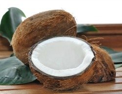 Coconut Oil